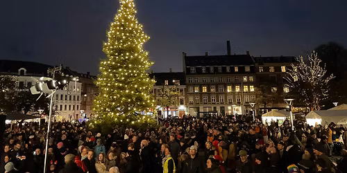 Juletr\u00e6st\u00e6nding p\u00e5 Frederiksberg R\u00e5dhusplads