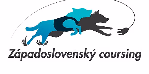 Jarn\u00fd poh\u00e1r - Majstrovstv\u00e1 SR - Dev\u00ednska Nov\u00e1 Ves 02.05.2026