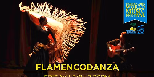 WMF: Flamencodanza