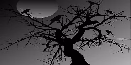 M\u00f6rkervandring 2025