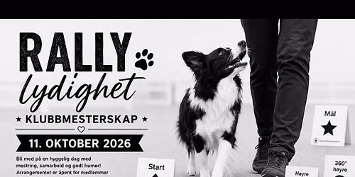 Klubbmesterskap i rallylydighet