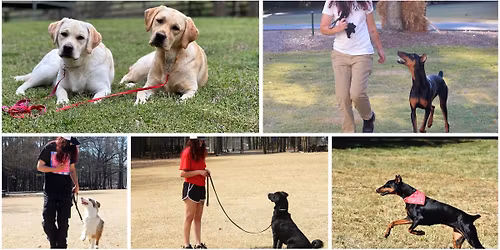 Braves Watch Pawrty w\/Canine UnderDawgs Alumni