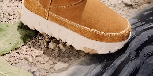 Cold Weather Venture