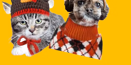 Tailsgiving Medical Fundraiser