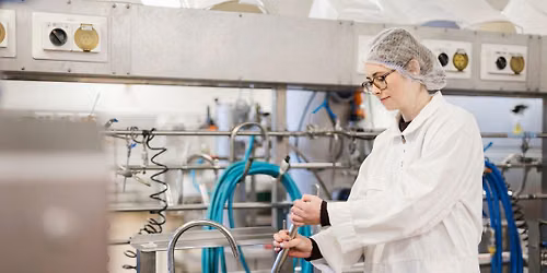 Massey University Food Innovation Youth Summit 2027