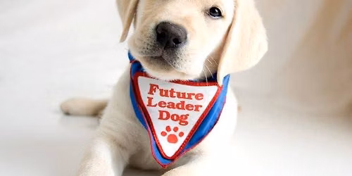 Puppy Love Basic Yoga Class, Saturday, June 27 at 1:30PM At UpDog Yoga Rochester