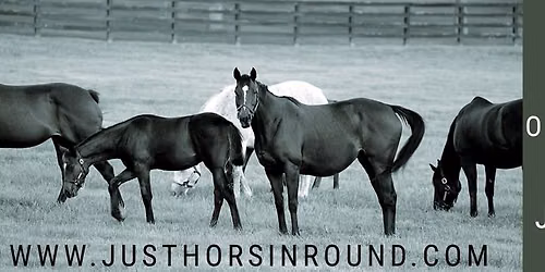 June's Just Horsin' Round Open Horse Show