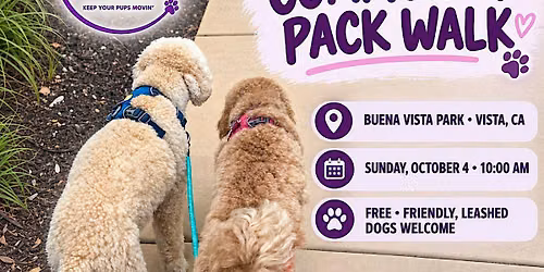 D's K-9 Cardio October Pack Walk