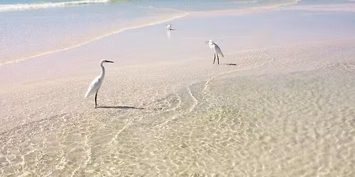 Salt & Soul: A Beach Retreat for Women Ready to Slow Down, Move, and Reconnect