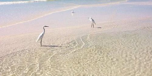 Salt & Soul: A Beach Retreat for Women Ready to Slow Down, Move, and Reconnect