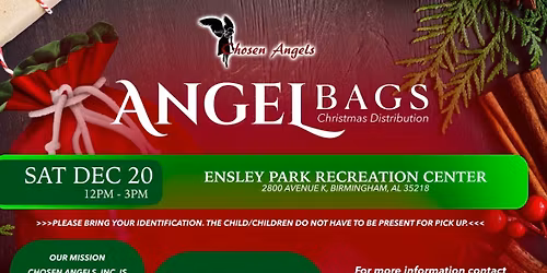 Angel Bags Christmas Distribution
