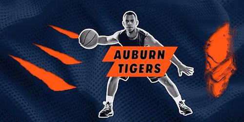 Alabama State Hornets at Auburn Tigers Mens Basketball at Neville Arena