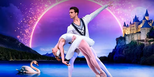 Schwanensee | 04.12.2025 | Bielefeld