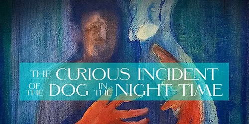 The Curious Incident of the Dog in the Night-Time at Centre Stage - Greenville