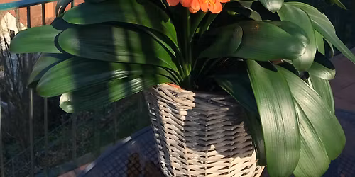 3. Hirschhorner Burgweihnacht