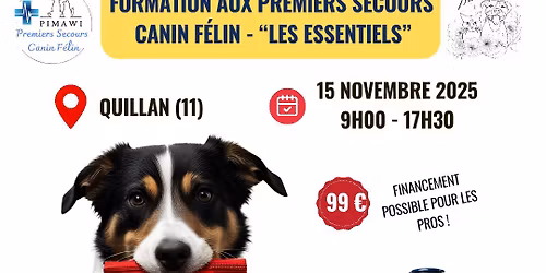 Formation aux premiers secours canin - "les essentiels"