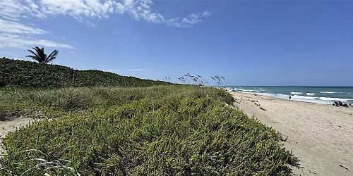 Relaxed Morning Beach Walk