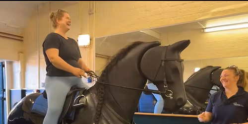 Rider simulator clinic