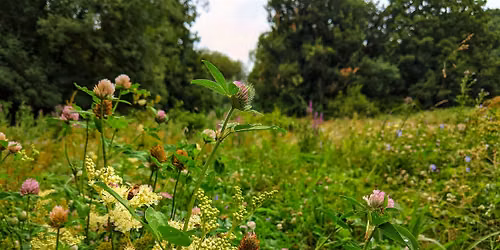 TCV Edinburgh (EBAT): Flying Volunteers \u2013 Woodland and River