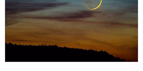 Gemini New Moon Gathering ~ Messages from the Collective with Lacey