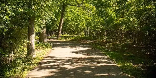  Nature Photography Walk