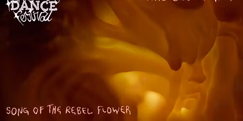 Felix Urbina Alejandre \/ Beautiful Accidents - L\u00c1TI\u00d0 BL\u00d3MIN TALA