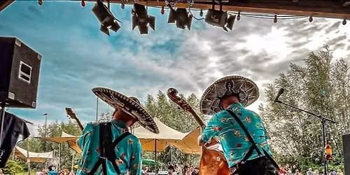 De Cactus Cowboys