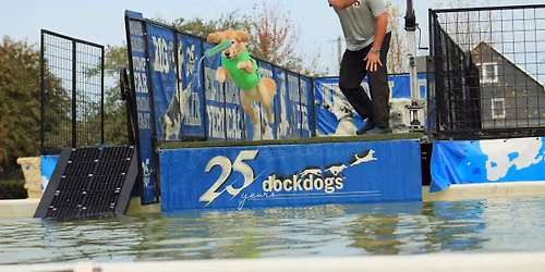 Bark in the Park with Seacoast DockDogs