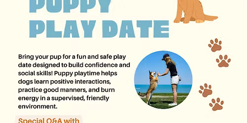 Puppy Play Date : Q&A with Gretta's Dog Training