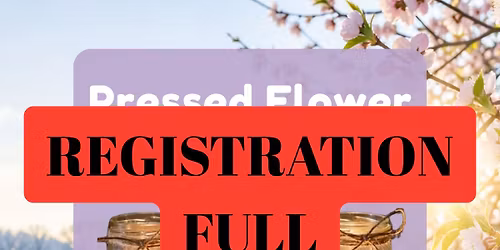 Pressed Flower Lanterns