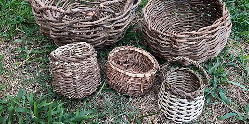 Weave Kudzu Vines Into a Basket