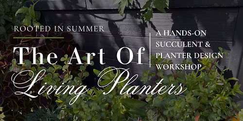 The Art of Living Planters \ud83e\udeb4