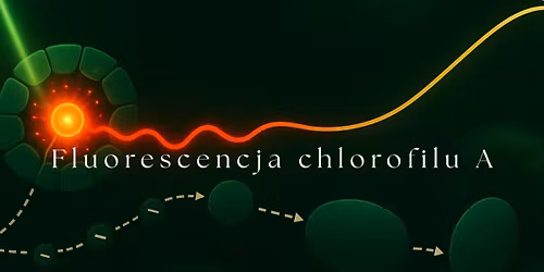 Fluorescencja chlorofilu - podstawy testu OJIP 