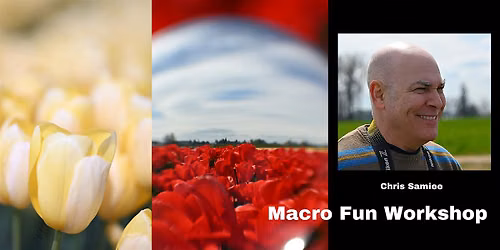Macro Fun Workshop w\/ Chris | 2026 Beaverton Tent Sale (Saturday)