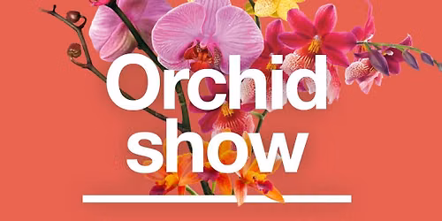 Winter Orchid Show