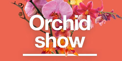 Winter Orchid Show