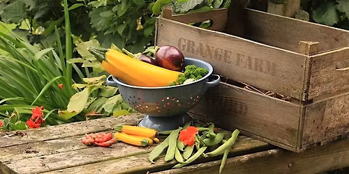 Get going with Grow Your Own (Beginners) with Julia and Jacky