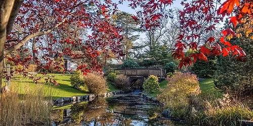 An Introduction to Mindfulness in Nature and Shinrin Yoku in Lauriston Castle Gardens