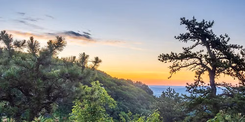 Millbrook Ridge. Volunteer Led Hike - Wednesday Walks Series