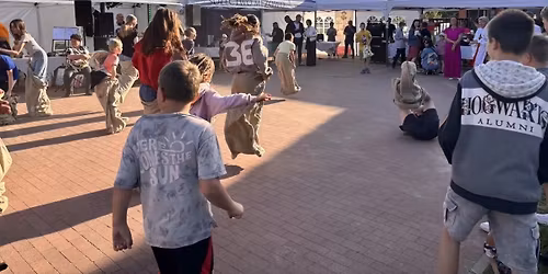 17. DZIE\u0143 MEZOWA