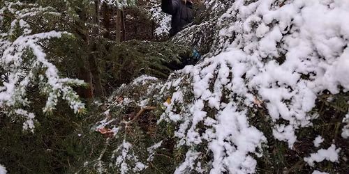 Family Yule Celebration