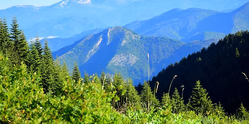 \u0414\u0432\u0443\u0445\u0438\u043b\u044f\u0434\u043d\u0438\u0446\u0438\u0442\u0435 \u043d\u0430 \u0421\u043b\u0430\u0432\u044f\u043d\u043a\u0430 \u0438 \u0421\u0443\u0445\u0438\u044f \u0432\u0440\u044a\u0445 \u0432 \u041f\u0438\u0440\u0438\u043d