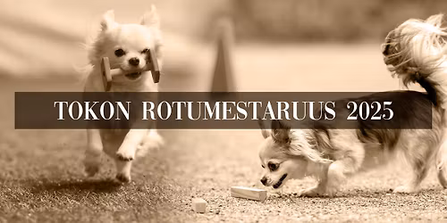 Tokon rotumestaruus 2025