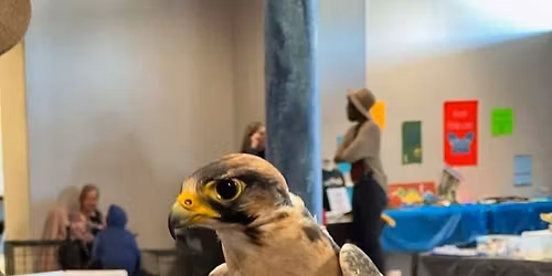 Homeschool Days (for Everyone!)