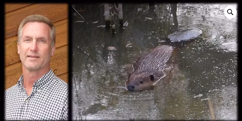 Believin' in Beavers with Martin Ogle