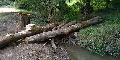 Guided SUDS walk around Robinswood Hill Country Park