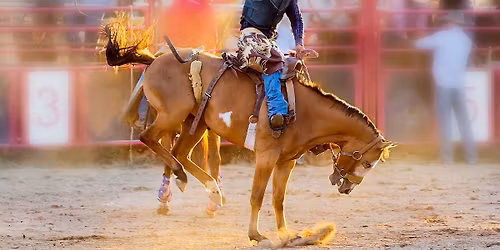 Clovis Rodeo Bull Riding