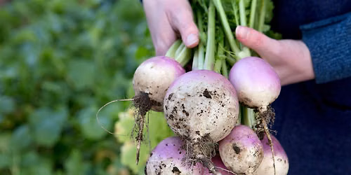 Winter Vegetables \u2013 Gardening Workshop