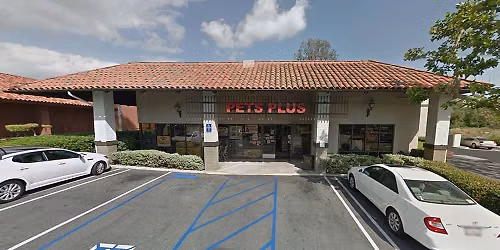 Mission Viejo - Dog dental cleaning