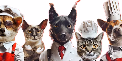 Paws & Plates 2nd Hibachi Showdown